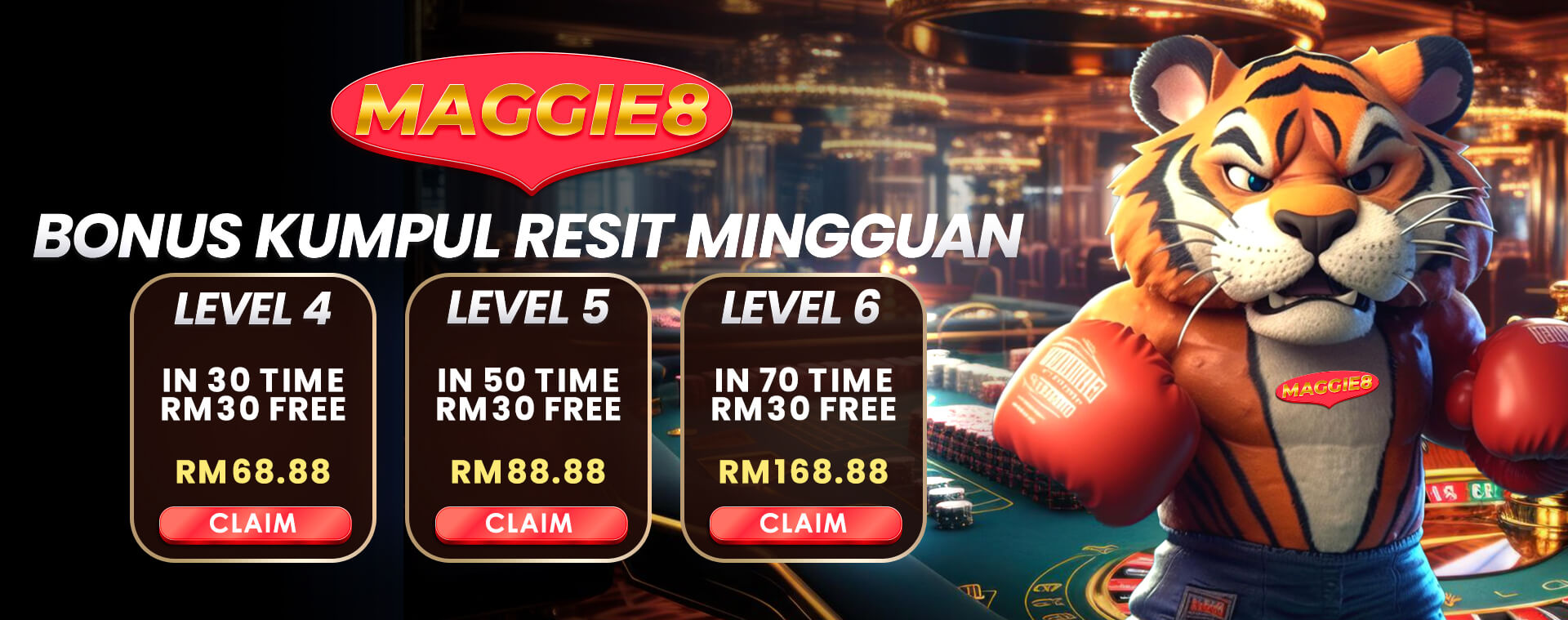Maggie8 Promotion