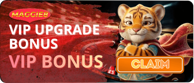 Maggie8 Promotion