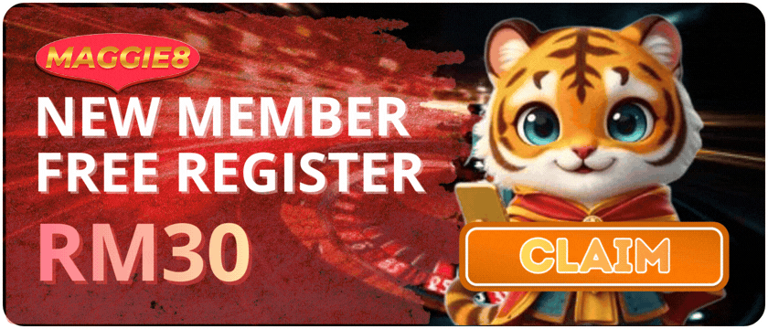 Maggie8 Promotion